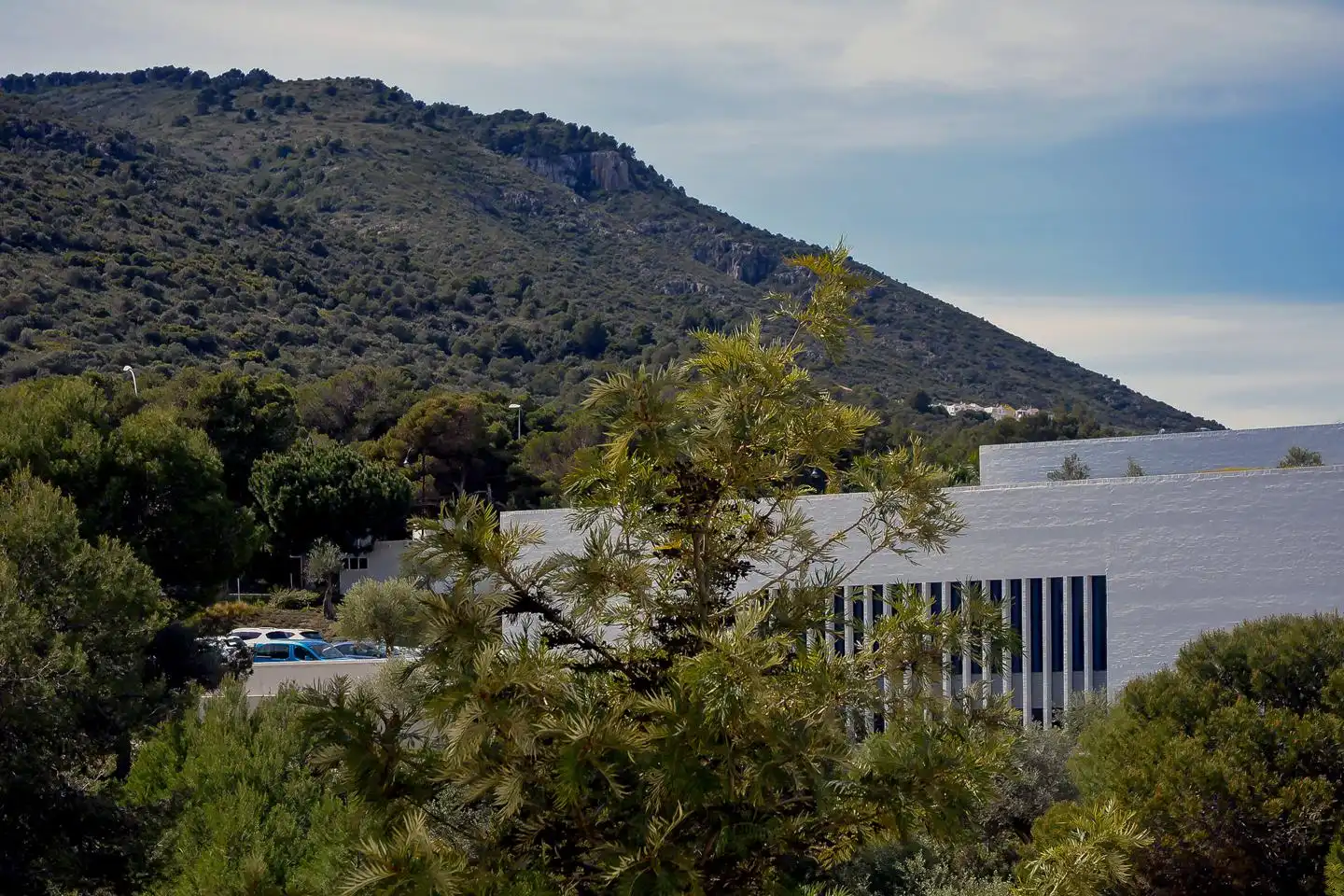 Vista exterior de Piso de alquiler en Málaga con Terraza, Amueblado y Piscina comunitaria