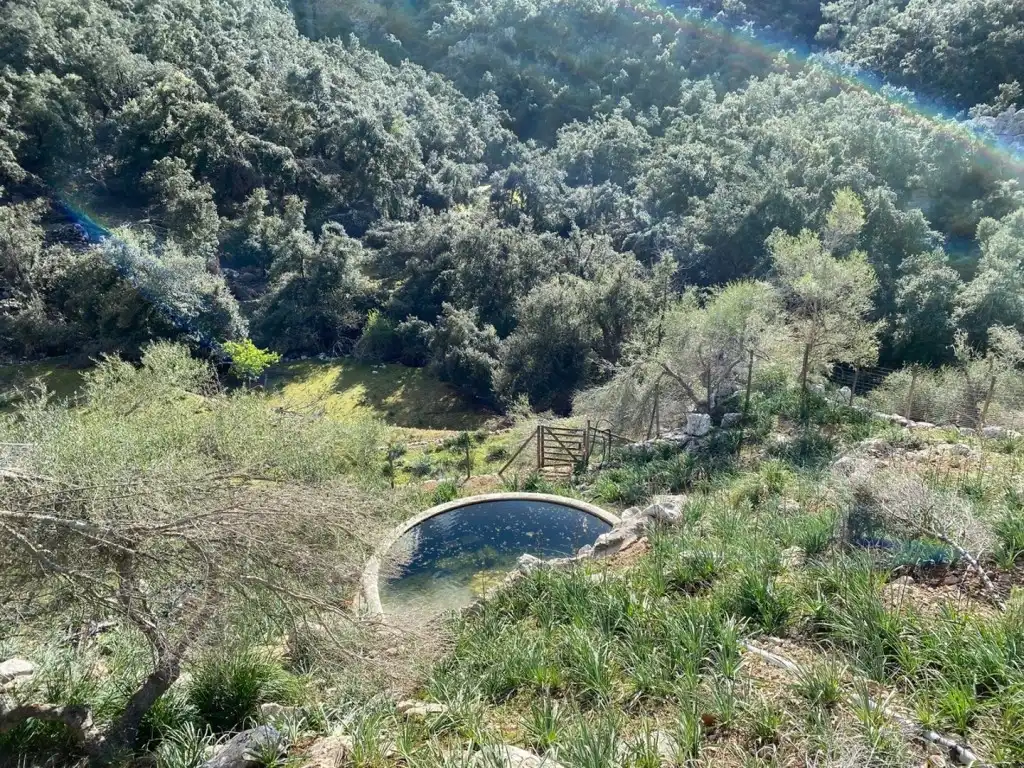 Maison rustique avec piscine à vendre à Escorca, imagen 21