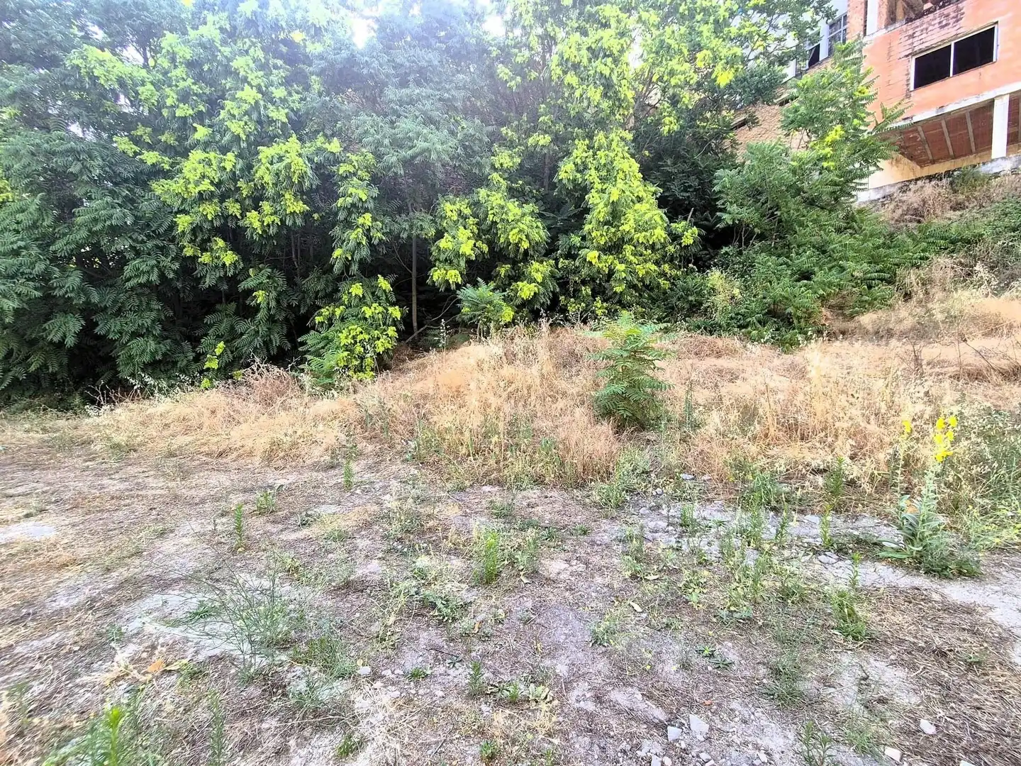 Terreno residencial en venta en Algarinejo, imagen 7