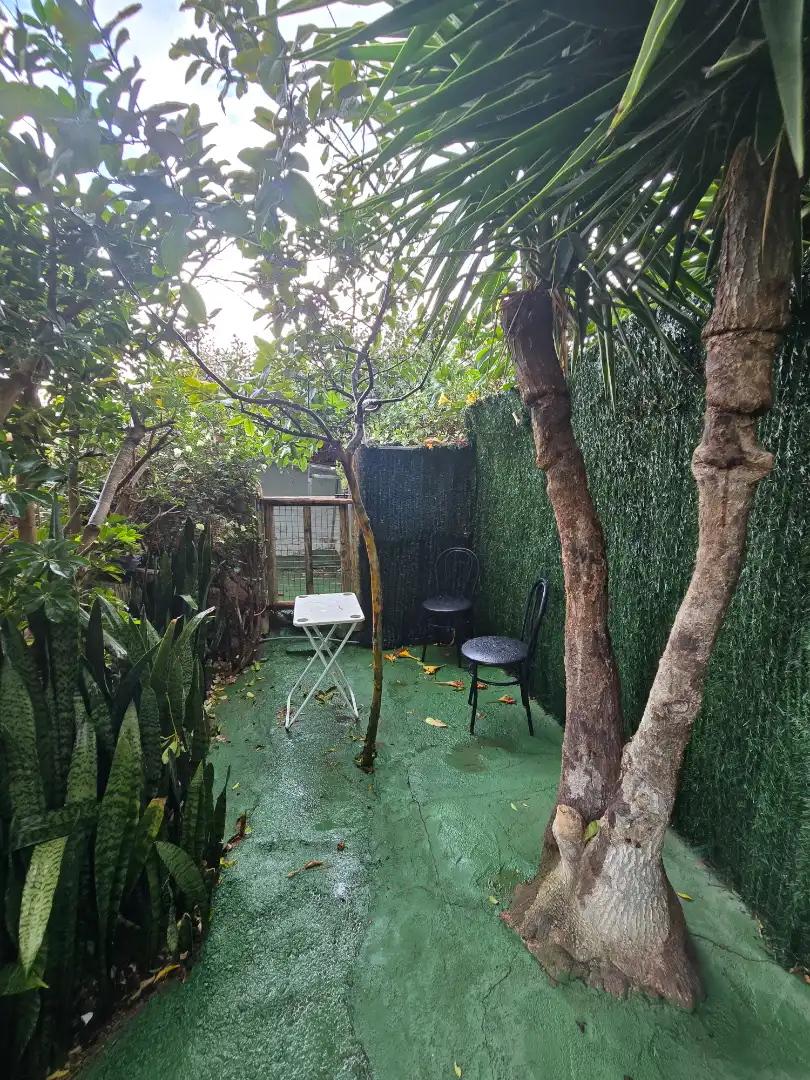 Jardí de Casa o xalet en venda en Arona amb Aire condicionat, Calefacció i Jardí privat