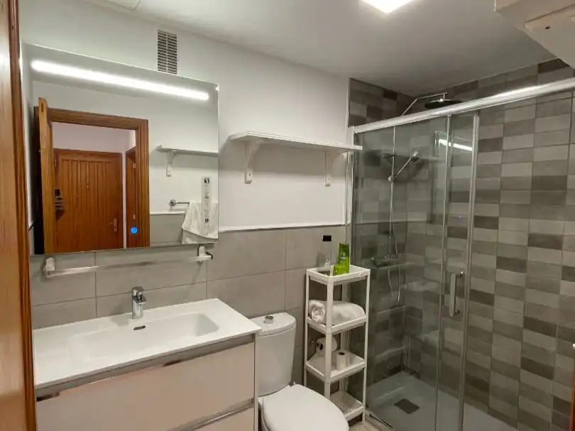 Bathroom of Flat for rent in Playa de Arinaga