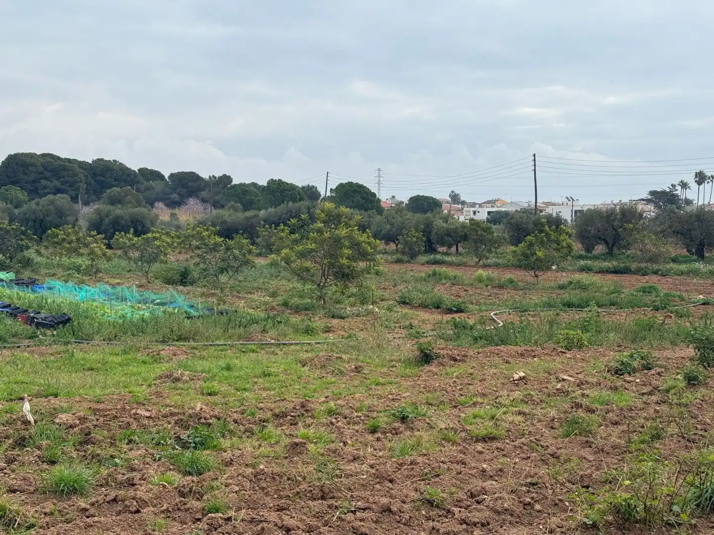Finca rústica en venda a Altafulla