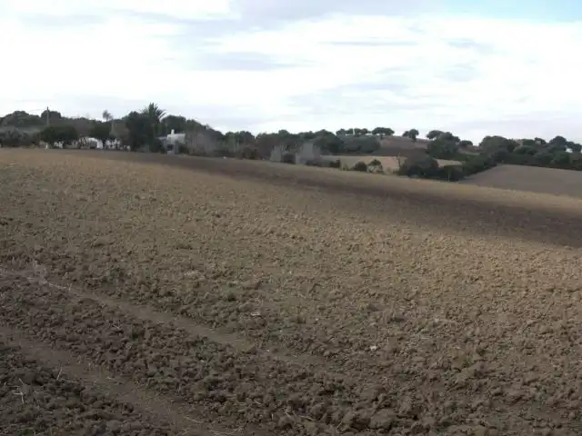 Rustikales Grundstück zum Verkauf in Vejer, imagen 3