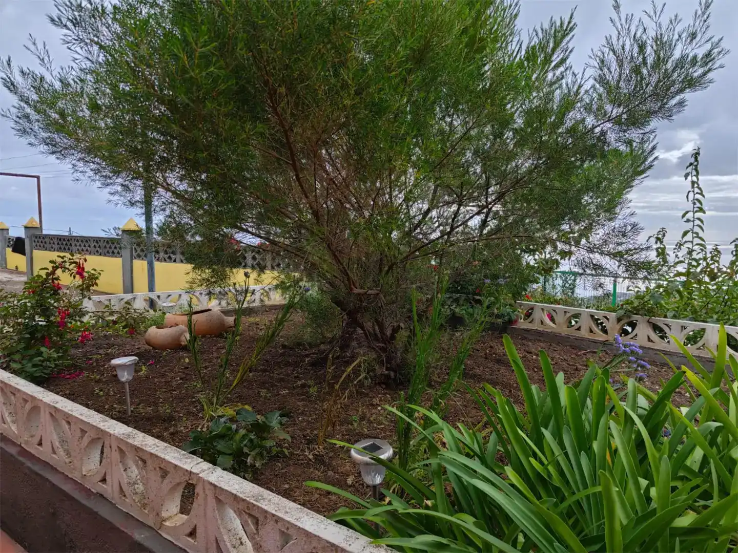 Jardín de Casa o chalet en venta en Breña Alta con Jardín privado, Trastero y Amueblado