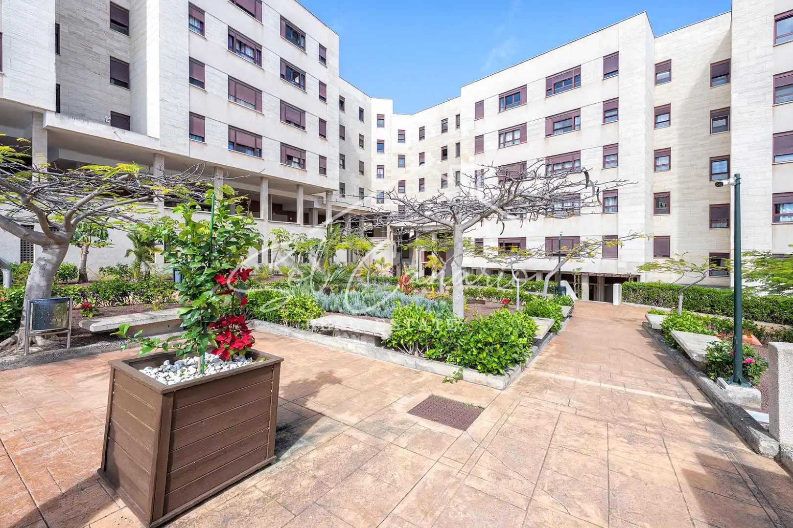 Vista exterior de Pis en venda en Las Palmas de Gran Canaria amb Moblat i Piscina comunitària