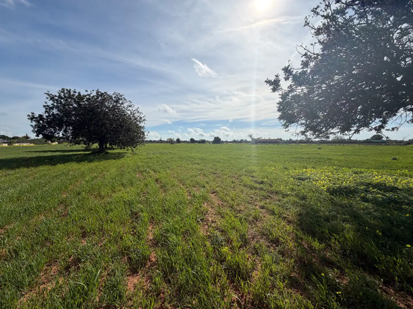 Country homes for sale in Llucmajor  with Air Conditioner, Heating and Private garden