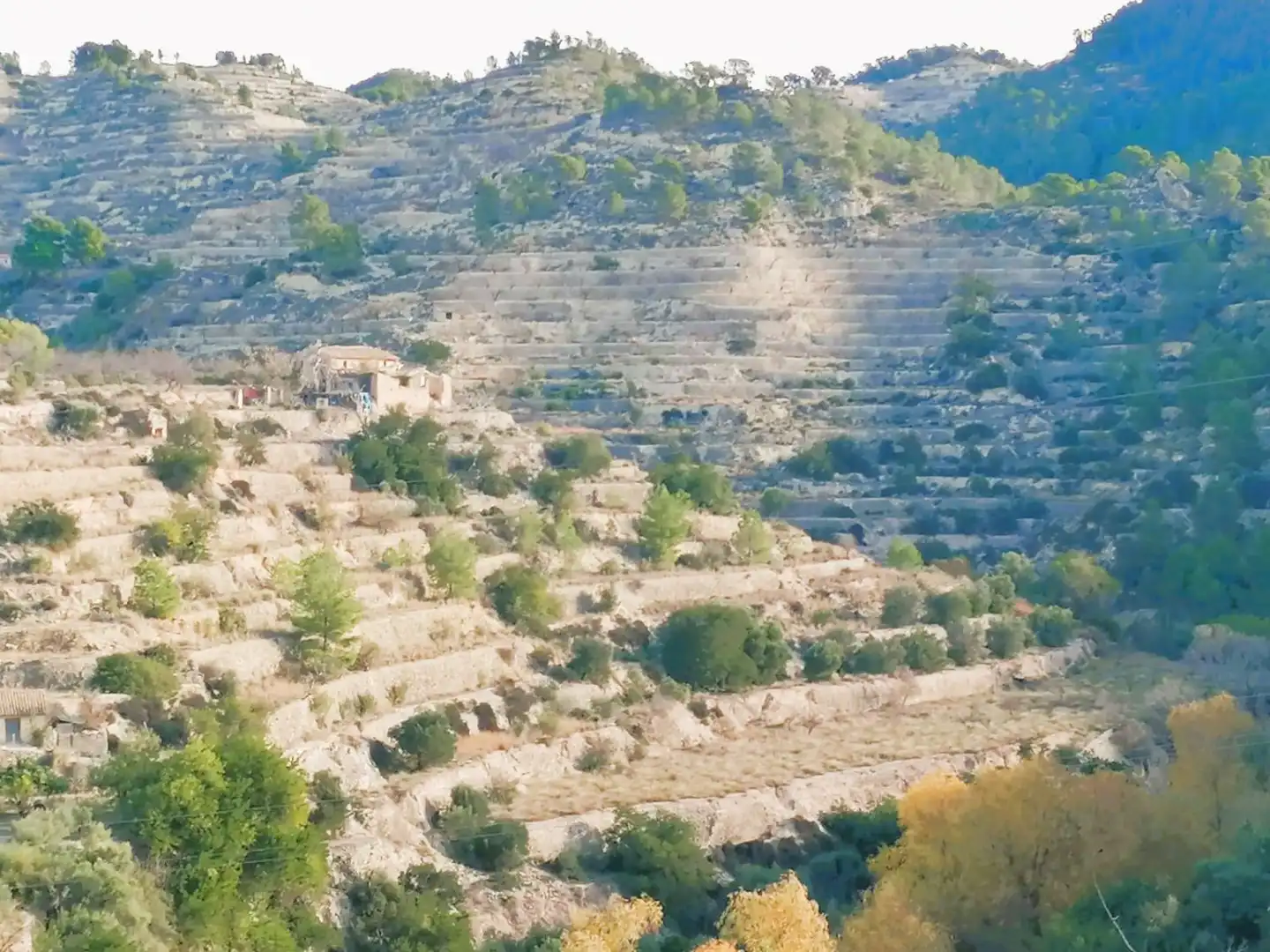 Vista exterior de Finca rústica en venda en Sella