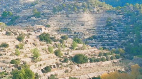 Finca Rúst. en venta en Sella.