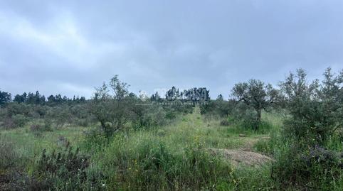 Foto 4 de Finca rústica en venda a Puebla de Obando, Badajoz