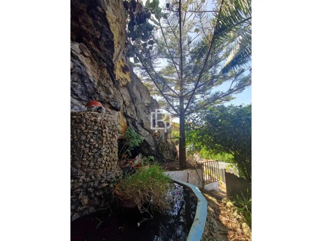 Jardín de Finca rústica en venta en Icod de los Vinos con Jardín privado y Terraza
