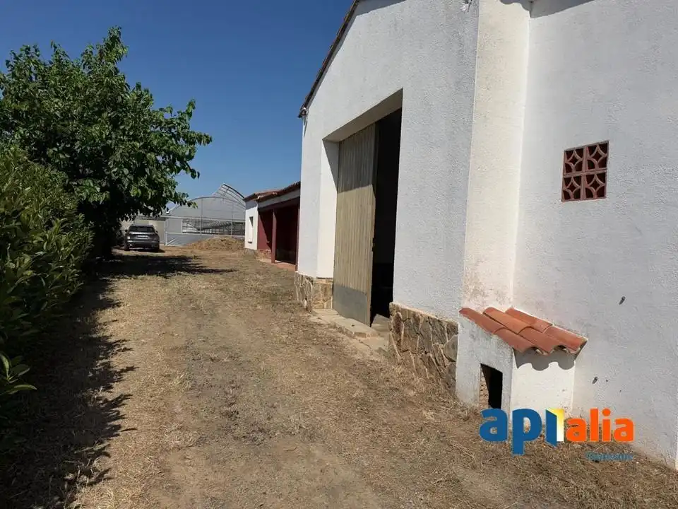 Casa en venta en Zona Industrial i Agrícola, imagen 4