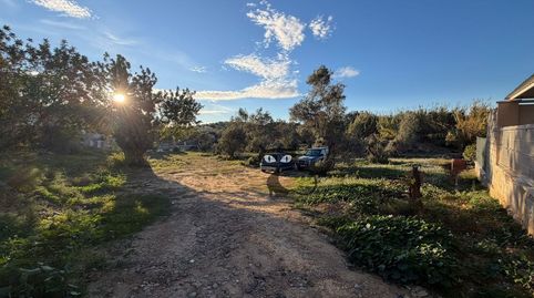 Foto 4 de Terreno en venta en Monte Real, Torrent