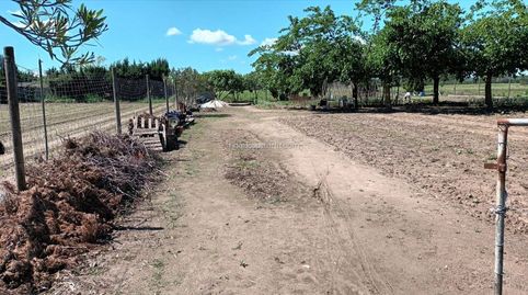 Photo 2 of Country homes for sale in Cami de la Gola, S/n, Els Griells, L'Estartit