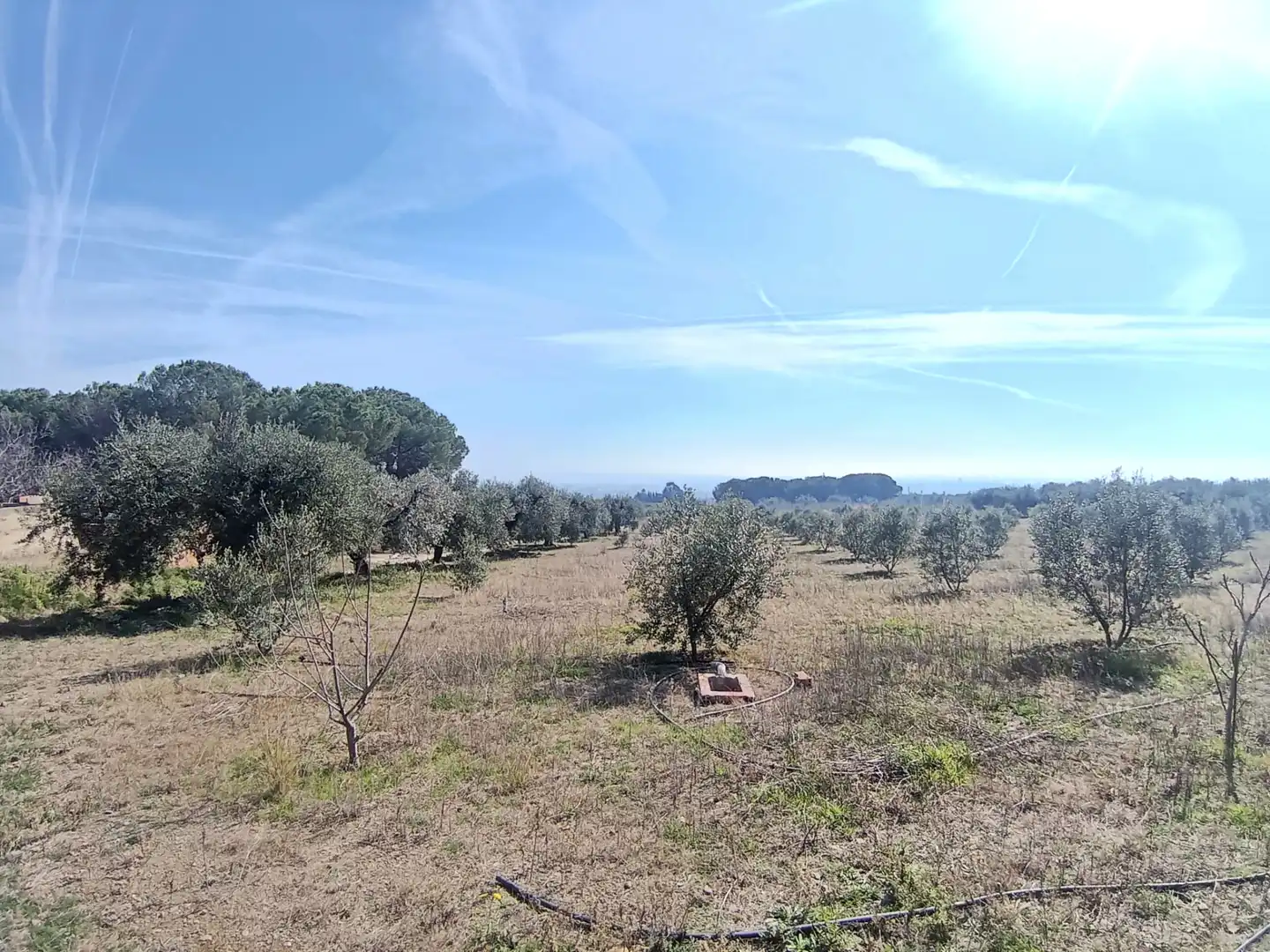 Terrain rustique à vendre à La Selva del Camp, imagen 14