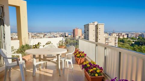 Foto 2 de Àtic en venda a Calle General Ricardo Ortega, Foners,  Palma de Mallorca