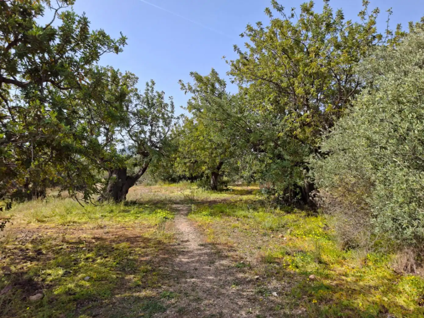 Wohnbaugrundstück zum Verkauf in Altea ciudad, imagen 14