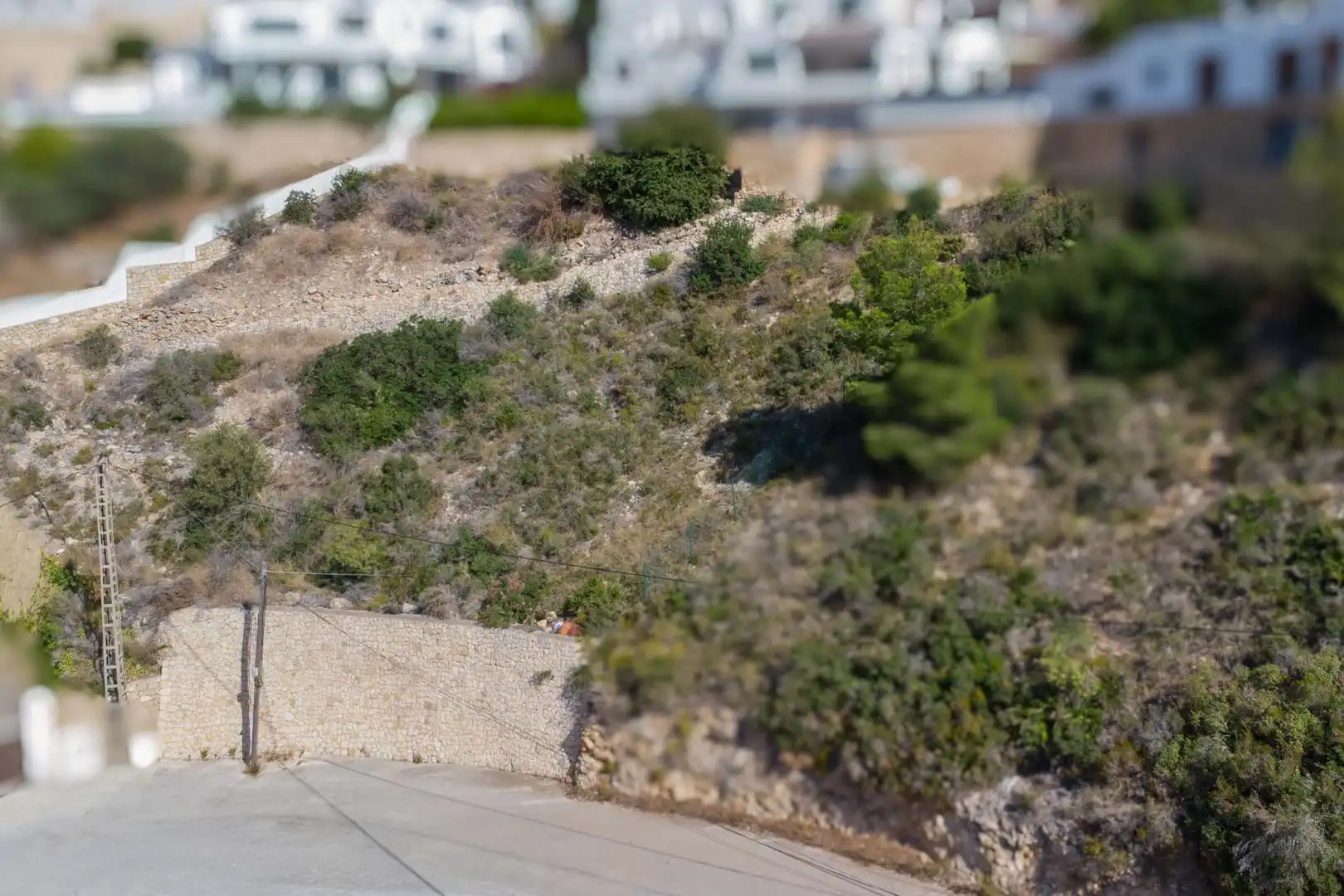 Rural land for sale in Casco Urbano, imagen 6