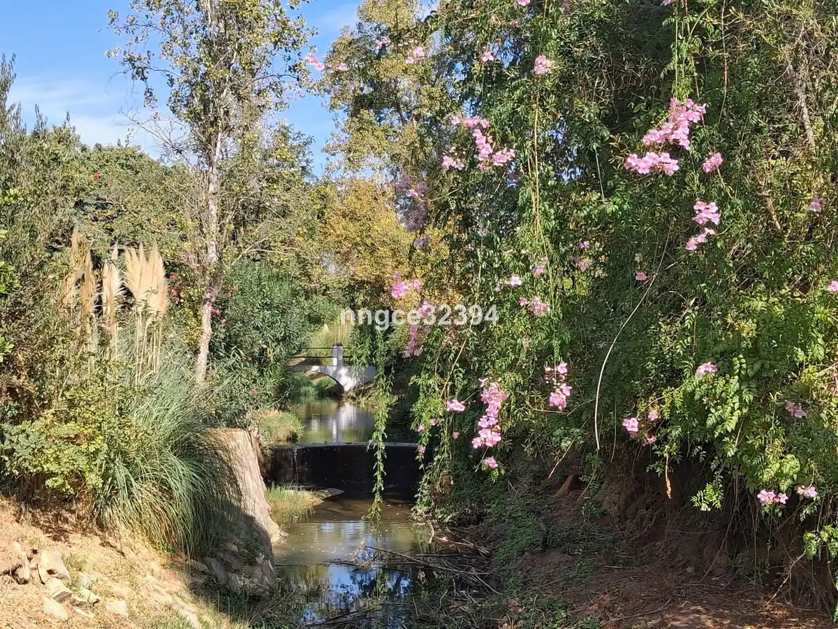 Àtic en venda a Benamara - Atalaya, imagen 31