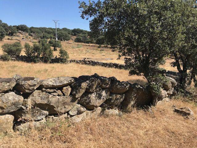 Finca rústica en Venta en Casco Antiguo