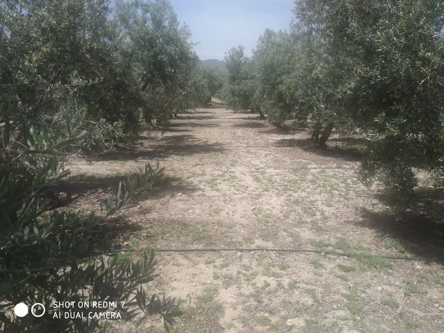 Chalet en venta en Lugar Cortijo Salomon, imagen 7