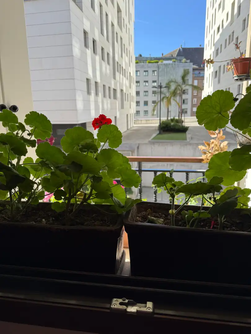 Terrasse von Wohnung zum Verkauf in Oviedo  mit Heizung, Terrasse und Abstellraum