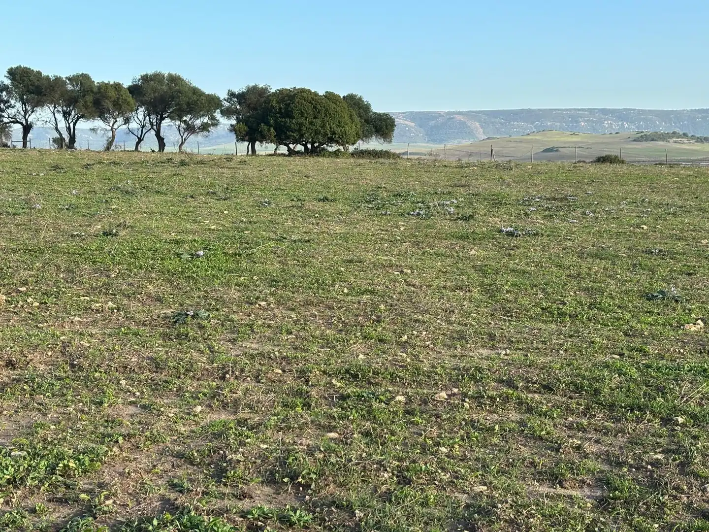 Terreni e lotti in vendita a Vejer, imagen 32