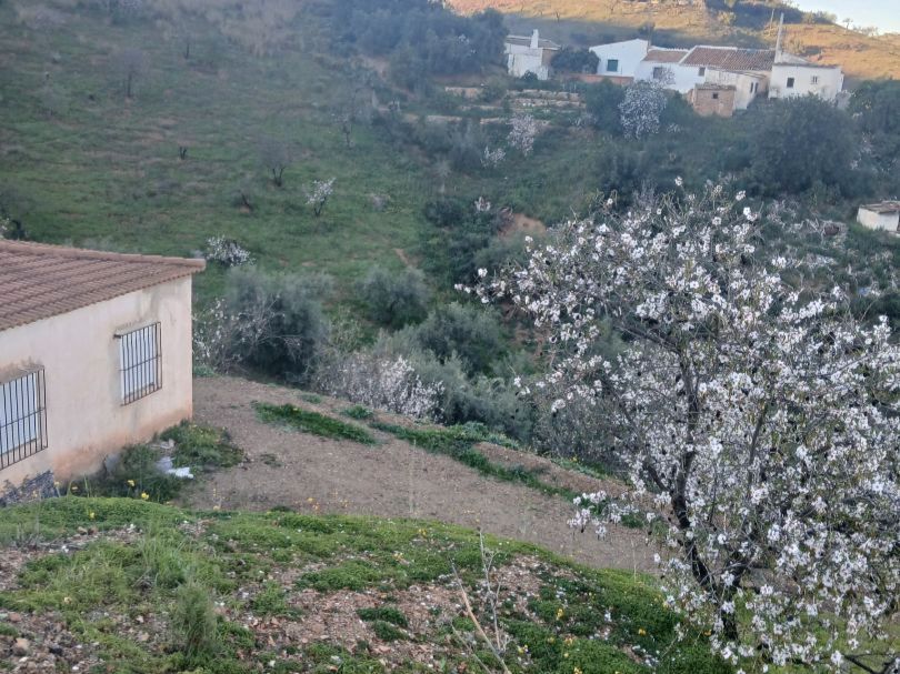 Jardín de Terreno en venta en Málaga Capital