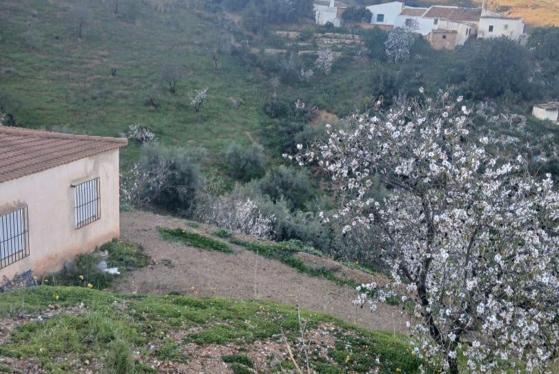 Photo 1 of Land for sale in Calle Alejandro Casona, 60, Churriana - El Pizarrillo - La Noria-Guadalsol, Málaga