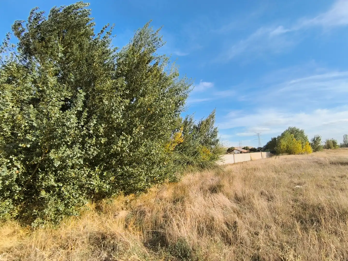 Residential zum Verkauf in Husillos , Palencia
