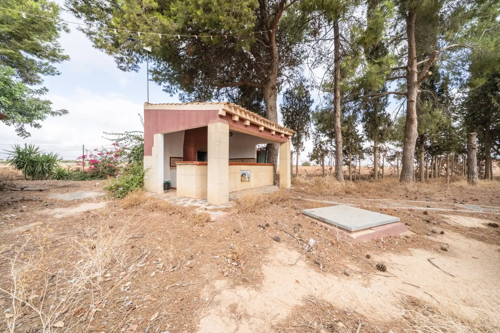 Casa o xalet en venda en Cartagena amb Jardí privat, Traster i Piscina