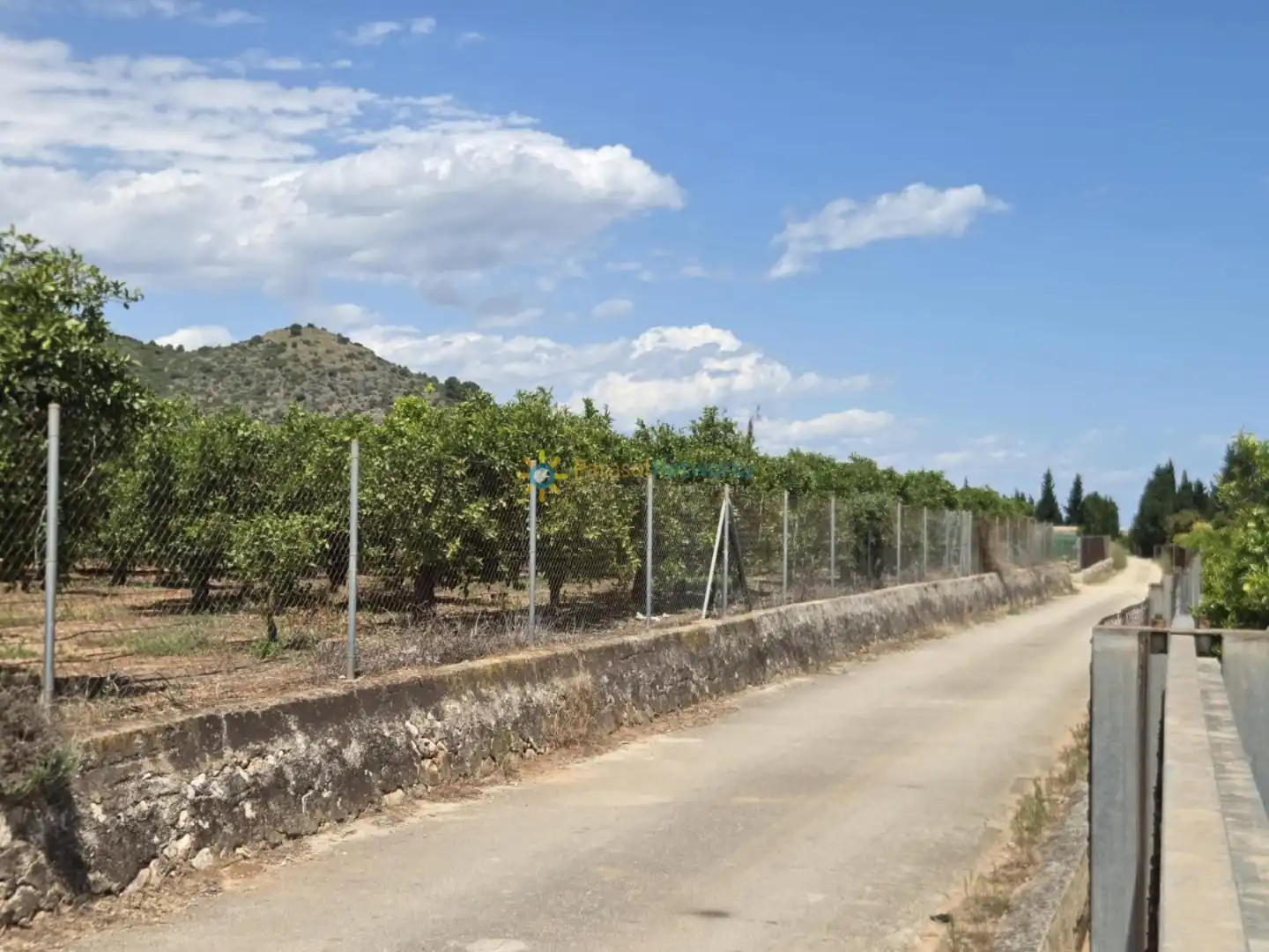 Terreny rústic en venda a Oliva pueblo, imagen 10