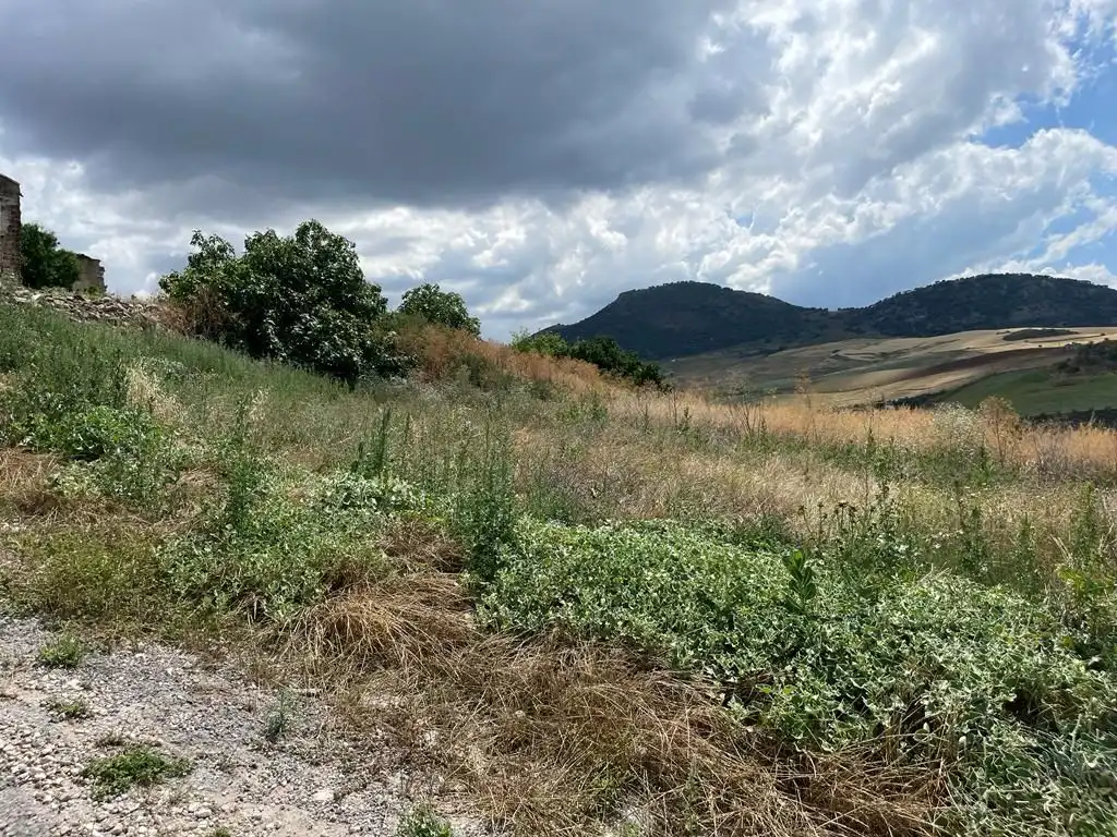Terreni e lotti in vendita a N/A, imagen 5