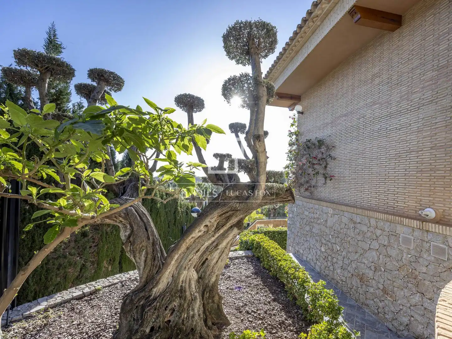 Villa con piscina in vendita a Sagunto ciudad, imagen 10