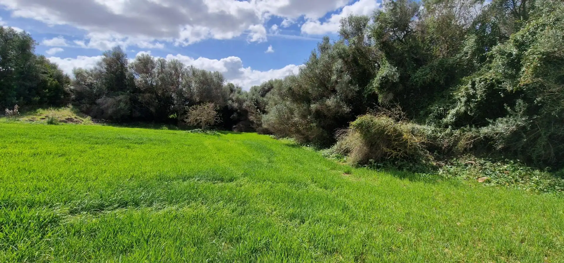 Country homes for sale in Manacor
