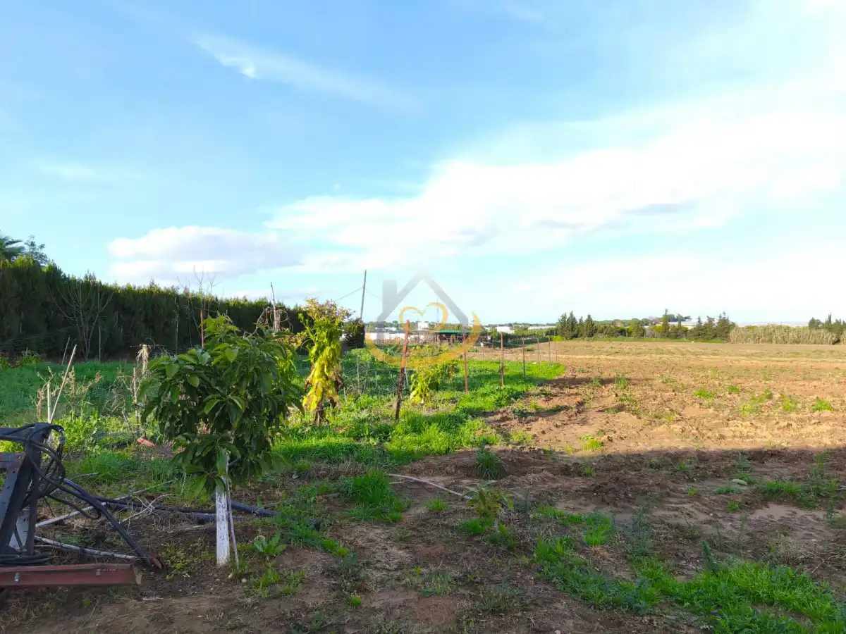 Terrenos y solares en venta en Núcleo urbano, imagen 37