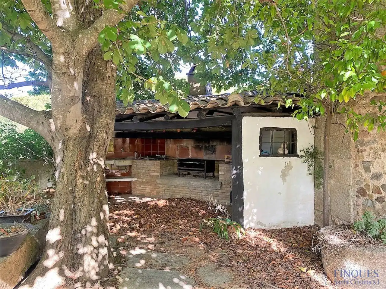 Casa amb piscina en venda a Sant  miquel d´aro, imagen 45