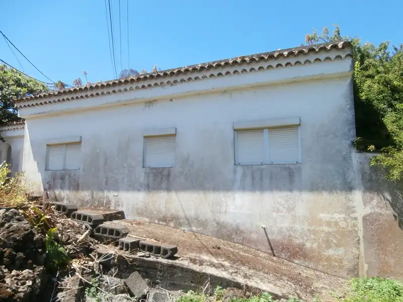 Vista exterior de Finca rústica en venta en Moya (Las Palmas)