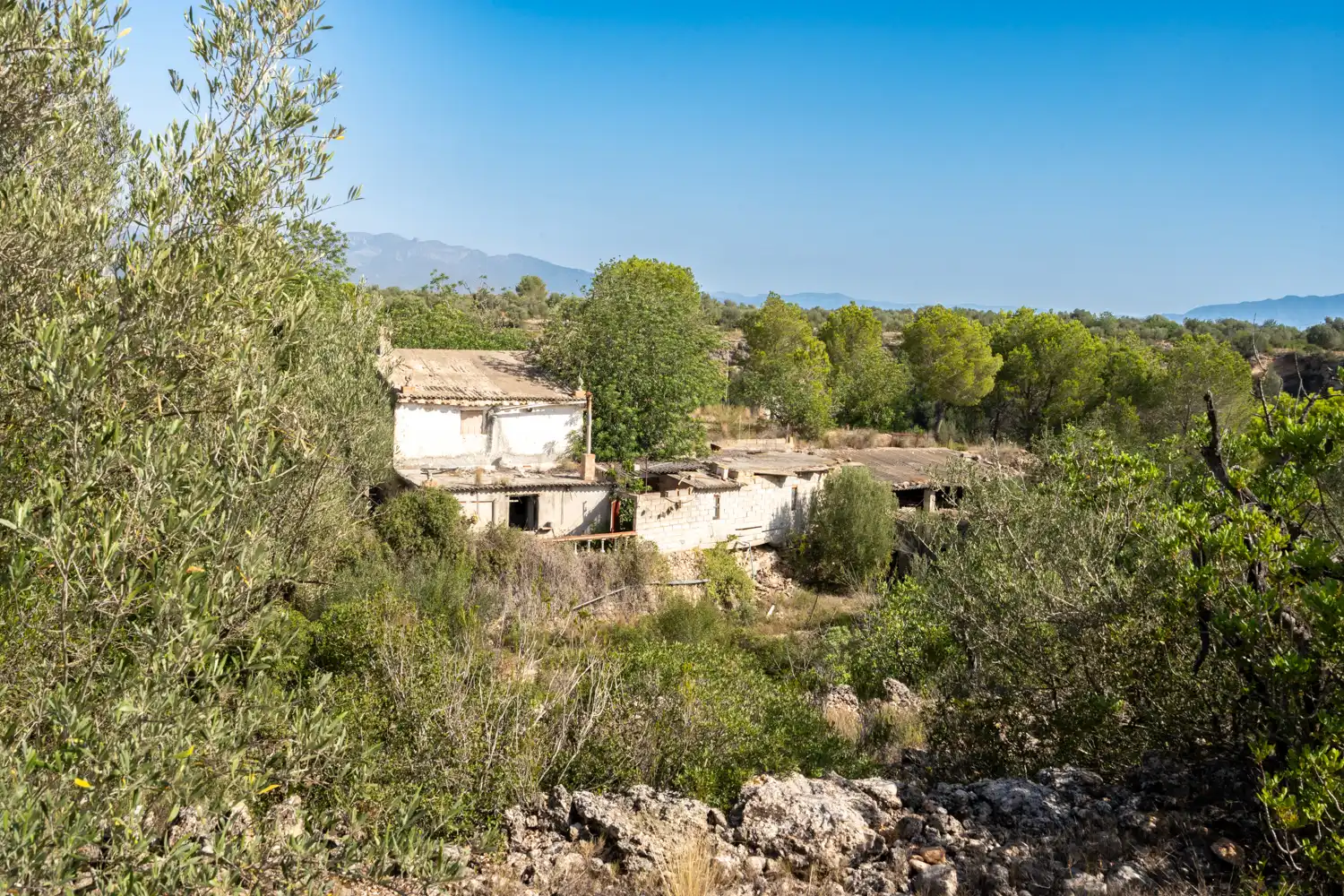 Rural land for sale in Vinallop, imagen 20