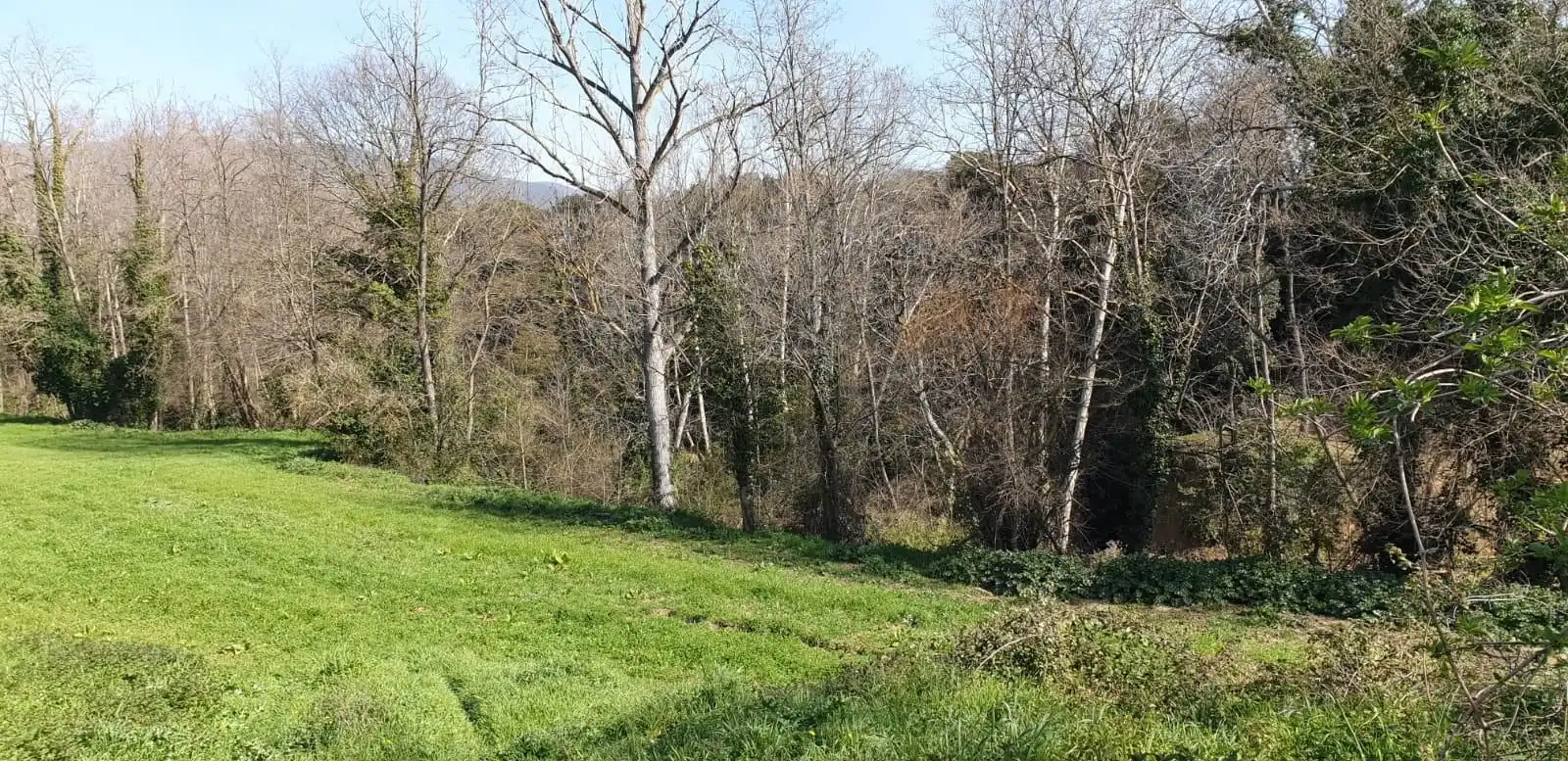 Finca rústica en venta en Sant Celoni