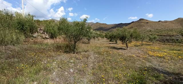 Terreno en Venta en Calle El Almendro, 5 en Senés