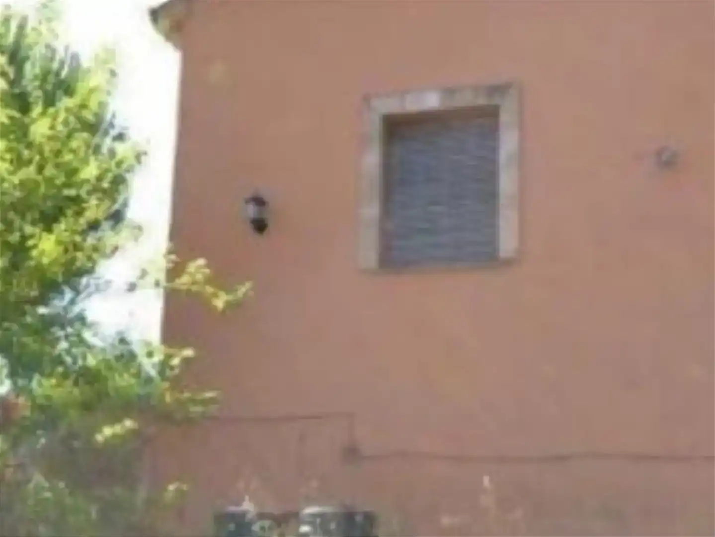 Vista exterior de Finca rústica en venta en Peñaflor