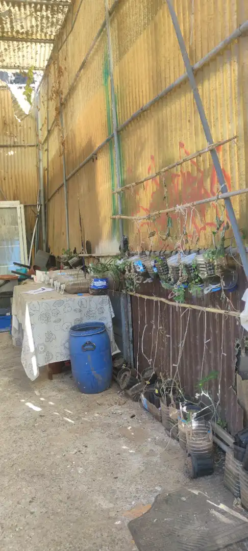Terreno en venta en Tegueste