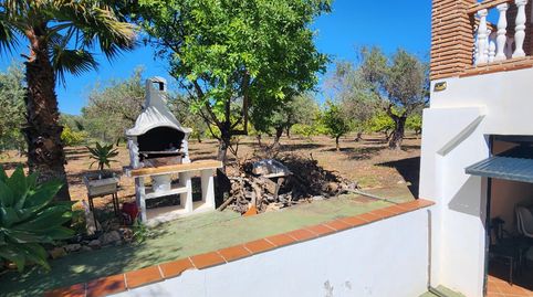 Foto 2 de Casa o chalet de alquiler en Camino las Chafarinas, Buenavista - Lauro Golf, Alhaurín de la Torre
