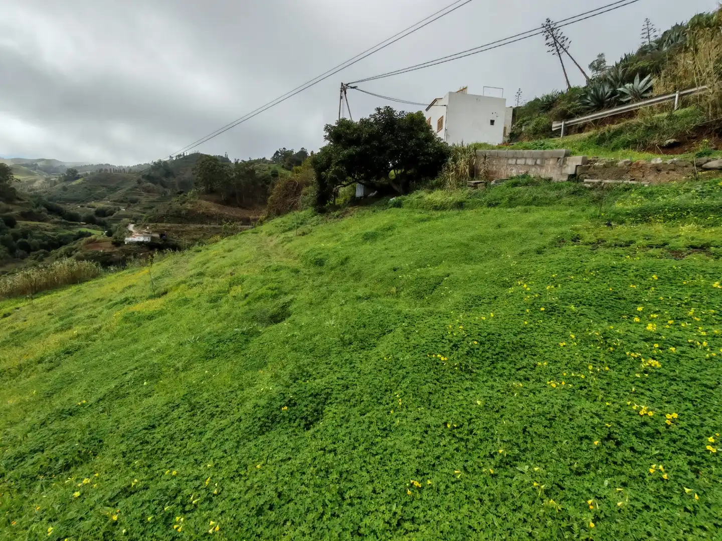 Finca rústica en venta en Santa María de Guía de Gran Canaria con Amueblado