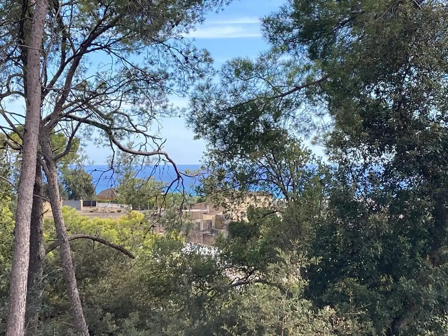 Residential land for sale in Carrer Carrer Lligabosc