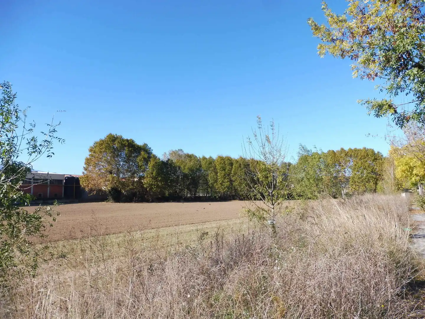 Terreno residencial en venta en Massanes, imagen 5