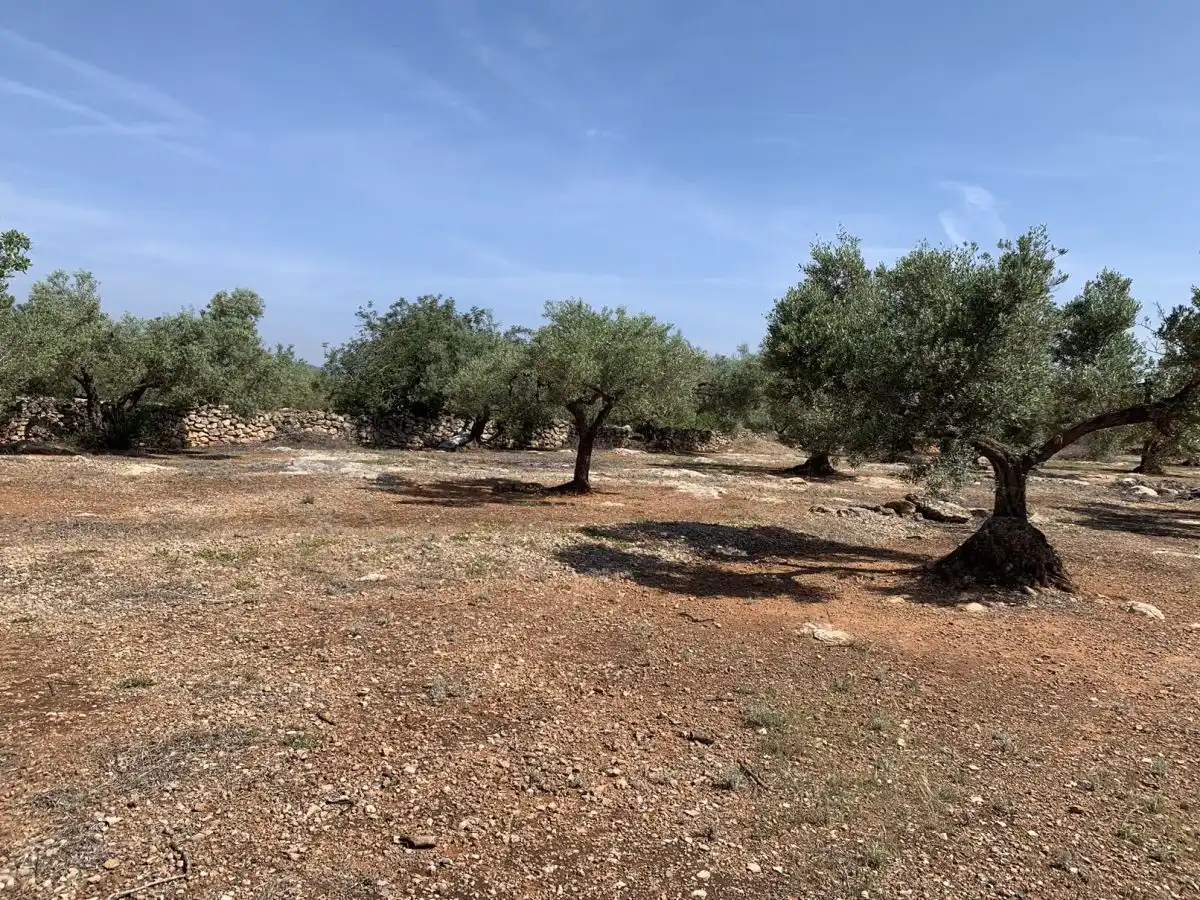 Country homes for sale in L'Ampolla
