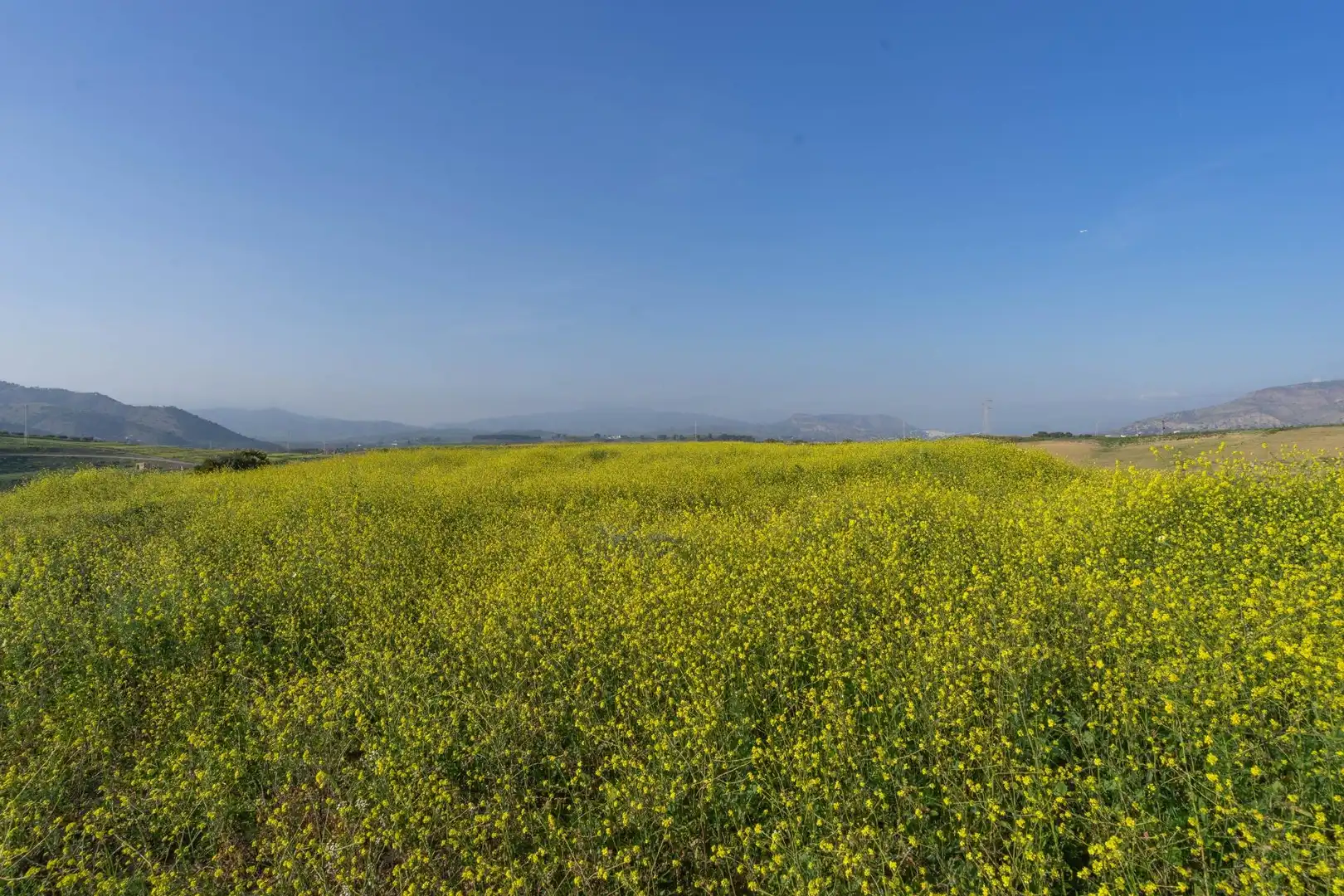 Rural land for sale in Casalpalma - Fahala, imagen 2