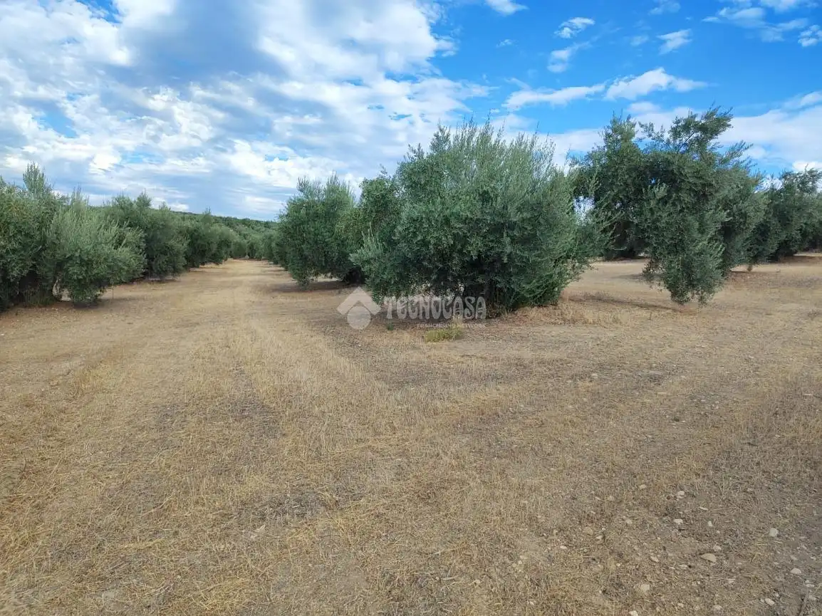 Land for sale in Chilluévar