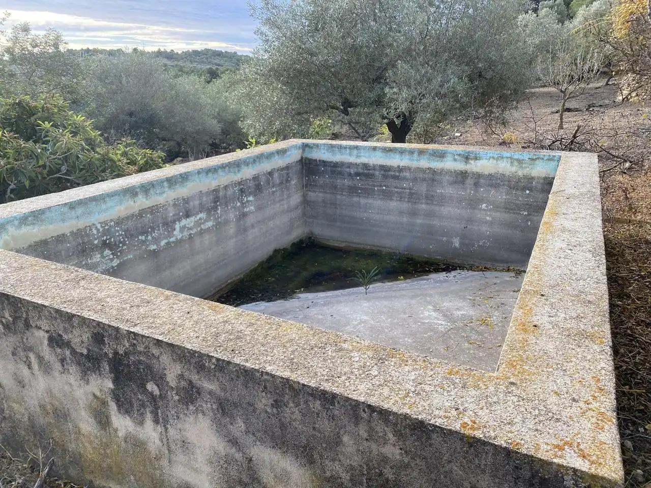Terreno rustico in vendita a Partida Aguila, imagen 15